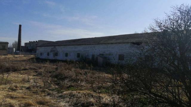 Комплекс имущества: 2 коровника, молочный блок с благоустройством территории и очистными сооружениями агрофермы «Сокольники» (Витебский р-н, аг.Октябрьская, ул. Октябрьская)
