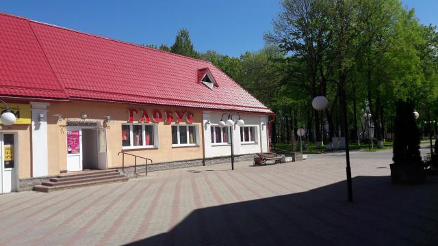 Капитальное строение с инв. №201/С-15425, магазин «Глобус» пл. 137,9 кв.м. (г.Городок, ул. Советская, 27А)