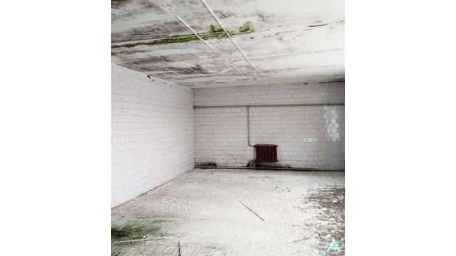 Капитальное строение с инв. №611/C-40099, магазин №108 пл. 164,8 кв.м. (Минская обл., Березинский р-н, Капланецкий с/с, д.Крапивня, ул. Центральная, 14)