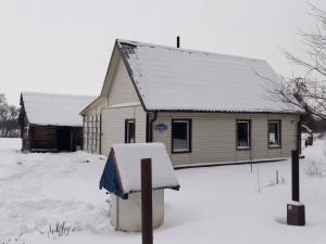 Капитальное строение с инв. №202/С-47830, жилой дом пл. 32,1 кв.м. (Лиозненский р-н, д. Низы, ул. Низовская, 23)