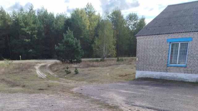 Капитальное строение с инв. №133/С-14550, магазин пл. 132 кв.м. (Брестская обл., Лунинский р-н, Вульковский с/с, аг.Красная Воля, ул. Сельская, 2Б)