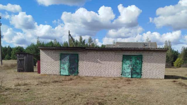 Капитальное строение с инв. №133/С-14550, магазин пл. 132 кв.м. (Брестская обл., Лунинский р-н, Вульковский с/с, аг.Красная Воля, ул. Сельская, 2Б)