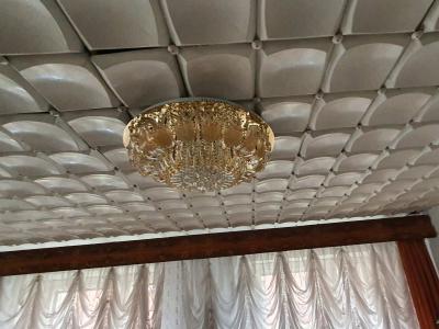 Люстра Г Буше 9695/28 FR LED Y c пультом, инв. №48012 (столовая) (г.Могилев, ул. Первомайская, 77)