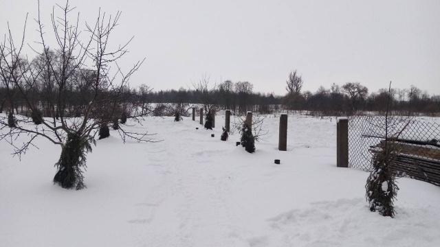 Капитальное строение с инв. №202/С-47830, жилой дом пл. 32,1 кв.м. (Лиозненский р-н, д. Низы, ул. Низовская, 23)