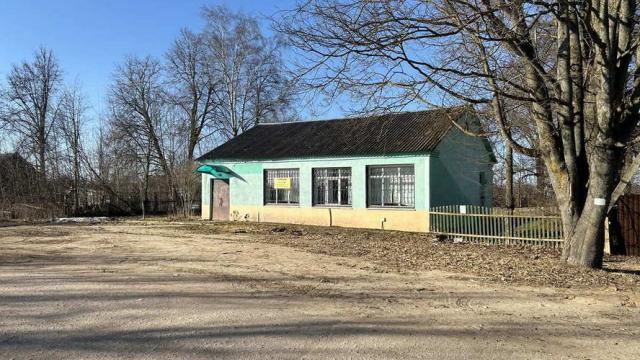 Капитальное строение с инв. №601/C-13256, магазин №43 пл. 98,8 кв.м. (Минская обл., Логойский р-н, Логойский с/с, д.Знаменка)