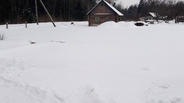 Капитальное строение с инв. №202/С-47830, жилой дом пл. 32,1 кв.м. (Лиозненский р-н, д. Низы, ул. Низовская, 23)