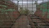Полуприцеп ПС-45, инв. №4050 (Витебский р-н, аг.Тулово, ул. Техническая, 15)