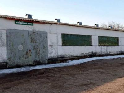 Аукцион 07.10.2024 (11:00-16:00) по реализации торговых объектов (Минская обл., Пуховичский р-н, г.Марьина Горка) с учетом НДС 20%