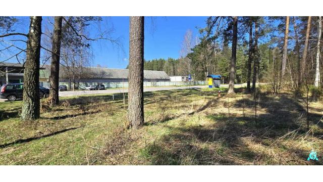 Капитальное строение с инв. №620/C-44892, магазин №41 пл. 109,7 кв.м. (Минская обл., Дзержинский р-н, Негорельский с/с, 26, район п.Городище)