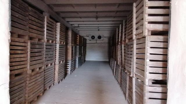 Капитальное строение с инв. №200/C-50481, овощехранилище пл. 1360,4 кв.м. (г.Витебск, ул. Базовая, 49/7)