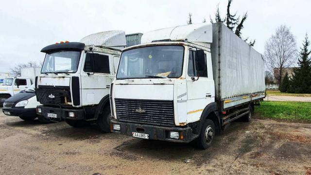 Автомобиль грузовой МАЗ-437041-262, 2007 г.в., рег. знак АА 4965-1 (Брестская обл., г.Дрогичин, ул. Ленина, 136)