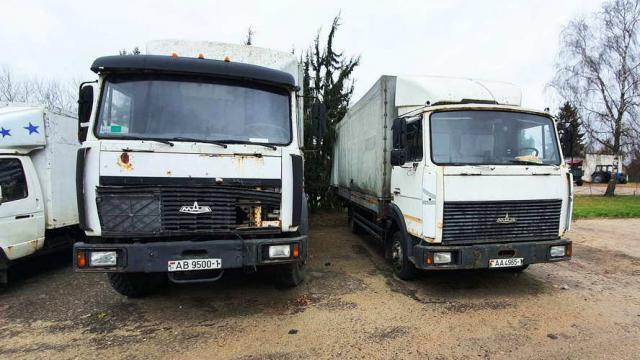 Автомобиль грузовой МАЗ-437041-262, 2007 г.в., рег. знак АА 4965-1 (Брестская обл., г.Дрогичин, ул. Ленина, 136)
