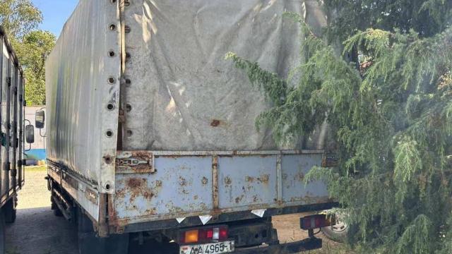 Автомобиль грузовой МАЗ-437041-262, 2007 г.в., рег. знак АА 4965-1 (Брестская обл., г.Дрогичин, ул. Ленина, 136)