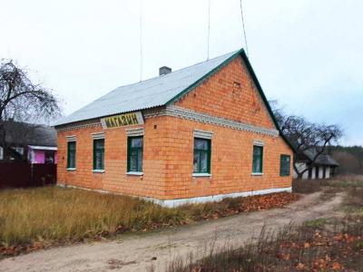 Капитальное строение с инв. №133/С-14555, магазин №94 пл. 77,0 кв.м. (Брестская обл., Лунинецкий р-н, д.Бродница, ул. Песчаная, 108)