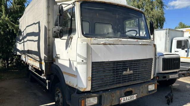 Автомобиль грузовой МАЗ-437041-262, 2007 г.в., рег. знак АА 4965-1 (Брестская обл., г.Дрогичин, ул. Ленина, 136)