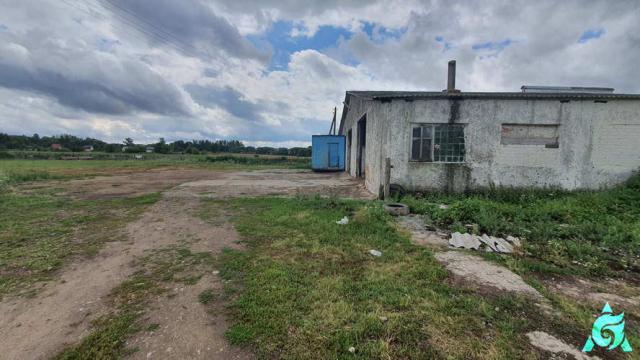 Комплекс имущества: здание телятника пл. 2419 кв.м. с благоустройством агрофермы «Коммунарка» (Витебский р-н, Бабиничский с/с, западнее д.Коммунарка, 29)