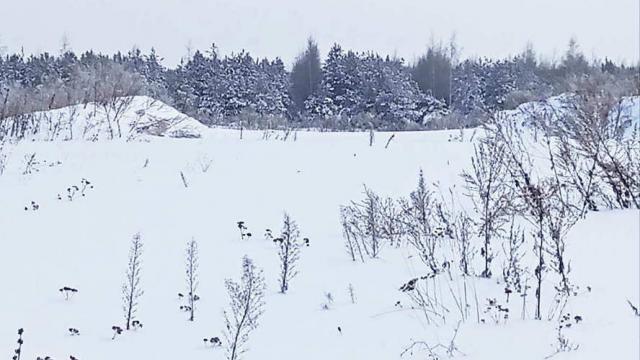 Водоснабжение в д.Обруб, инв. №1214 (Витебская обл., Глубокский р-н, Псуевский с/с, д.Обруб)