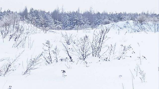 Артскважина в д.Гараны, инв. №1081 (Витебская обл., Глубокский р-н, Псуевский с/с, д.Гараны)