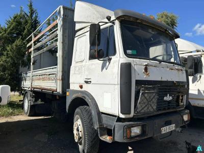 Автомобиль грузовой МАЗ-533603, 2008 г.в., рег. знак АВ 9500-1 (Брестская обл., г.Дрогичин, ул. Ленина, 136)