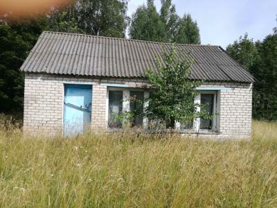 Капитальное cтроение с инв. №220/C-27739, магазин пл. 65,1 кв.м. (Глубокский р-н, д.Запасники, ул. Заплиская, 15А)