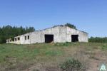 Телятник в д.Красомай, инв. №117 (Шумилинский р-н, д.Красомай)