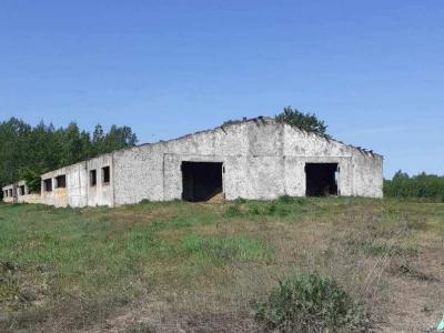 Телятник в д.Красомай, инв. №117 (Шумилинский р-н, д.Красомай)