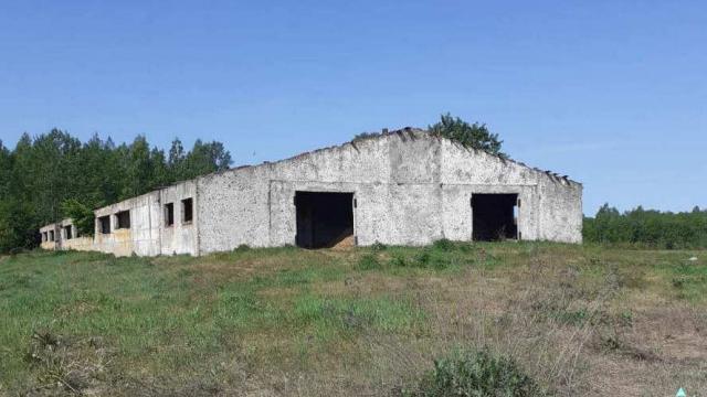 Телятник в д.Красомай, инв. №117 (Шумилинский р-н, д.Красомай)