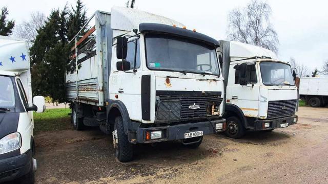 Автомобиль грузовой МАЗ-533603, 2008 г.в., рег. знак АВ 9500-1 (Брестская обл., г.Дрогичин, ул. Ленина, 136)