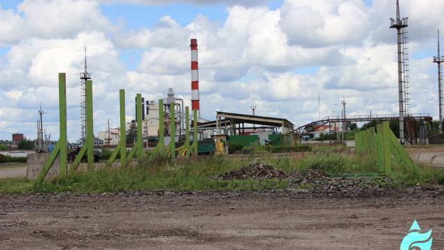 Капитальное строение с инв. №240/С-129758, склад сортированного круглого леса пл. 1861,6 кв.м. (Оршанский р-н, г.п. Ореховск, ул. Ленина, 36)