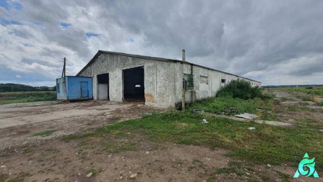Комплекс имущества: здание телятника пл. 2419 кв.м. с благоустройством агрофермы «Коммунарка» (Витебский р-н, Бабиничский с/с, западнее д.Коммунарка, 29)