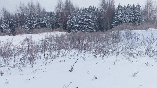 Сенажная траншея в д.Ивесь, инв. №1211 (Витебская обл., Глубокский р-н, Псуевский с/с, вблизи д.Ивесь)