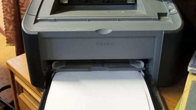 Принтер Canon, 2 шт. (Браславский р-н, д.Гирейши)
