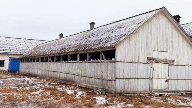Коровник в д.Обруб, инв. №5005 (Витебская обл., Глубокский р-н, Псуевский с/с, вблизи д.Обруб)