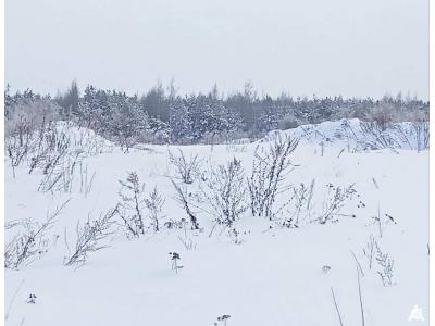 Сенажная траншея в д.Ивесь, инв. №1397 (Витебская обл., Глубокский р-н, Псуевский с/с, вблизи д.Ивесь)