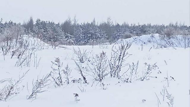 Сенажная траншея в д.Ивесь, инв. №1397 (Витебская обл., Глубокский р-н, Псуевский с/с, вблизи д.Ивесь)