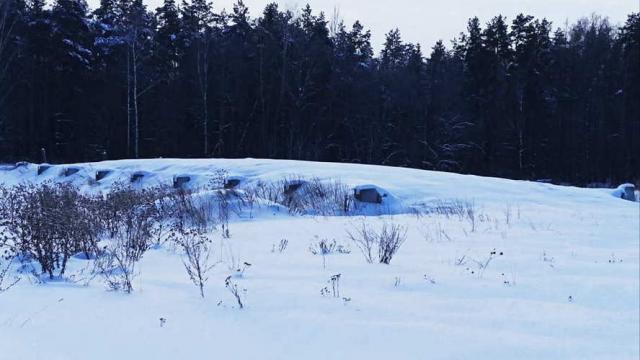 Сенажная траншея в д.Ивесь, инв. №1398 (Витебская обл., Глубокский р-н, Псуевский с/с, вблизи д.Ивесь)