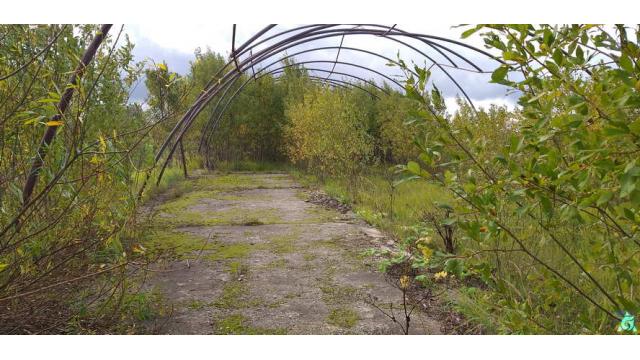 Сборные металлоконструкции арочного типа (д.Пушкари), инв. №б/н 15 (Витебский р-н, Вороновский с/с, д.Пушкари)