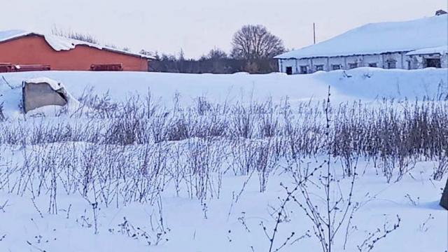 Сенажная траншея в д.Ивесь, инв. №1399 (Витебская обл., Глубокский р-н, Псуевский с/с, вблизи д.Ивесь)