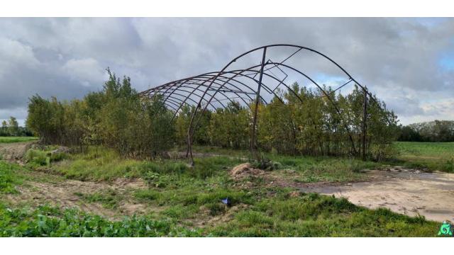 Сборные металлоконструкции арочного типа (д.Пушкари), инв. №б/н 15 (Витебский р-н, Вороновский с/с, д.Пушкари)