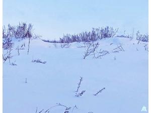 Сенажная траншея в д.Обруб, инв. №5006 (Витебская обл., Глубокский р-н, Псуевский с/с, вблизи д.Обруб)