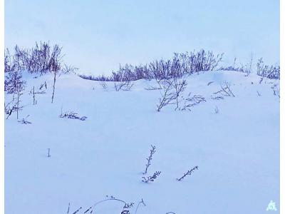 Сенажная траншея в д.Обруб, инв. №5006 (Витебская обл., Глубокский р-н, Псуевский с/с, вблизи д.Обруб)