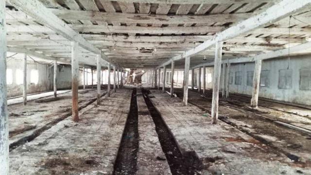 Коровник в д.Обруб, инв. №5005 (Витебская обл., Глубокский р-н, Псуевский с/с, вблизи д.Обруб)