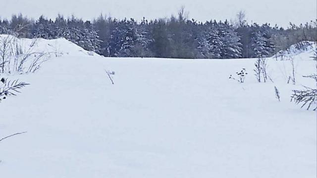 Сенажная траншея в аг.Псуя, инв. №5023 (Витебская обл., Глубокский р-н, аг.Псуя)