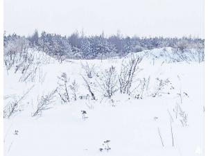 Сенажная траншея в аг.Псуя, инв. №5028 (Витебская обл., Глубокский р-н, аг.Псуя)