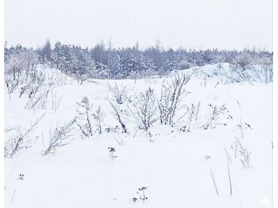 Сенажная траншея в аг.Псуя, инв. №5028 (Витебская обл., Глубокский р-н, аг.Псуя)