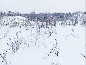 Сенажная траншея в аг.Псуя, инв. №5024 (Витебская обл., Глубокский р-н, аг.Псуя)