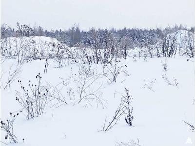 Сенажная траншея в аг.Псуя, инв. №5024 (Витебская обл., Глубокский р-н, аг.Псуя)