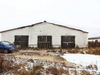 Телятник для молодняка в аг.Псуя, инв. №5030 (Витебская обл., Глубокский р-н, аг.Псуя)