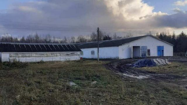Имущественный комплекс из 32 зданий (сооружений), спецтехники и оборудования (Шумилинский р-н, аг.Мишневичи, ул. Советская, 4)