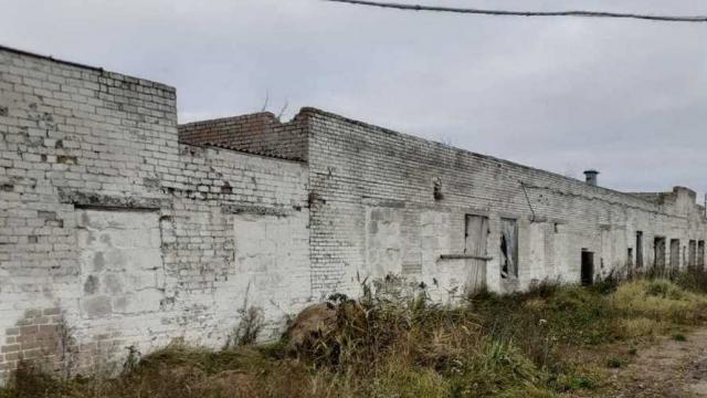 Телятник в аг.Мишневичи, инв. №100 (Шумилинский р-н, аг.Мишневичи)